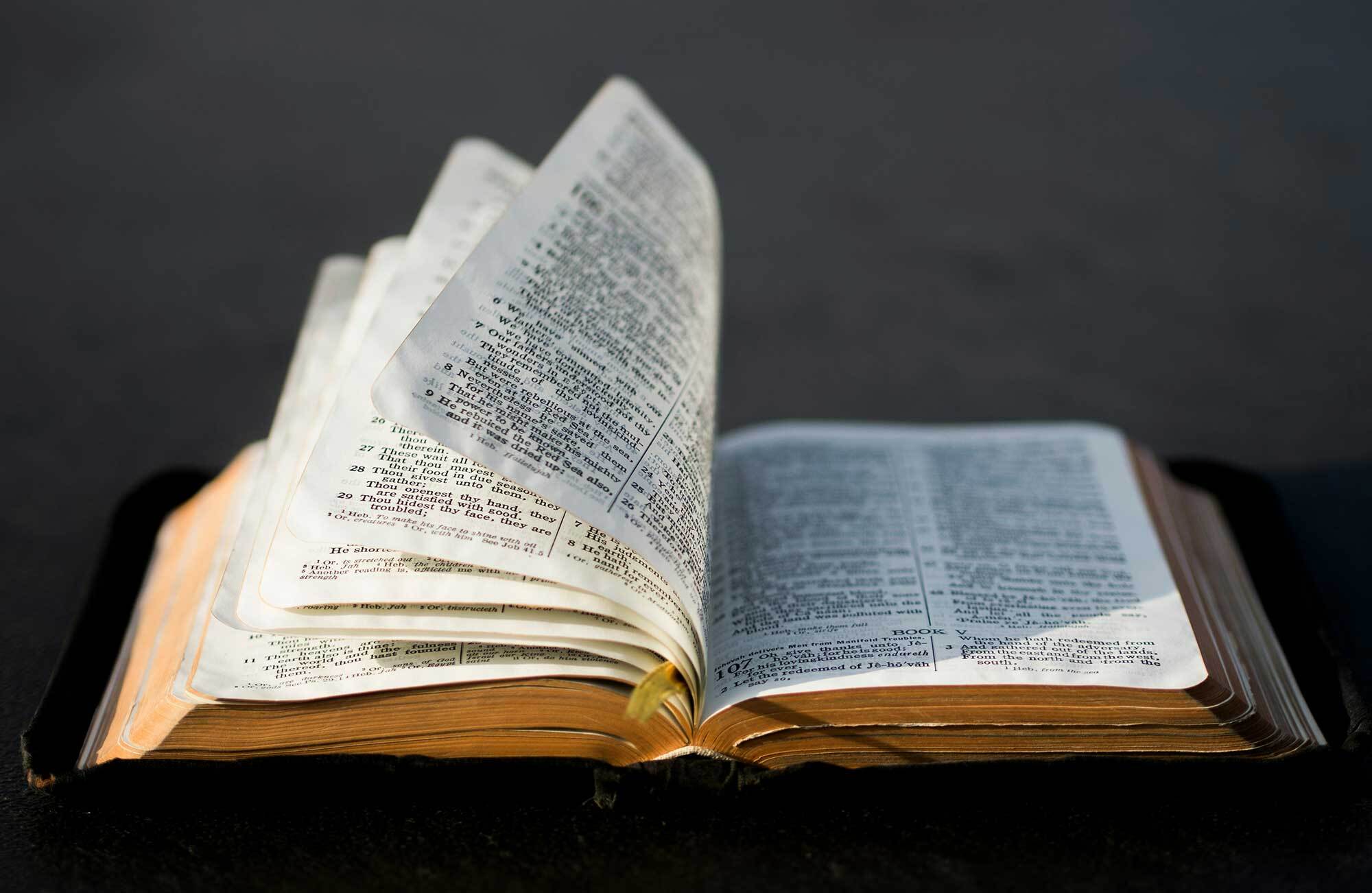authorityofscripture-wide.jpg